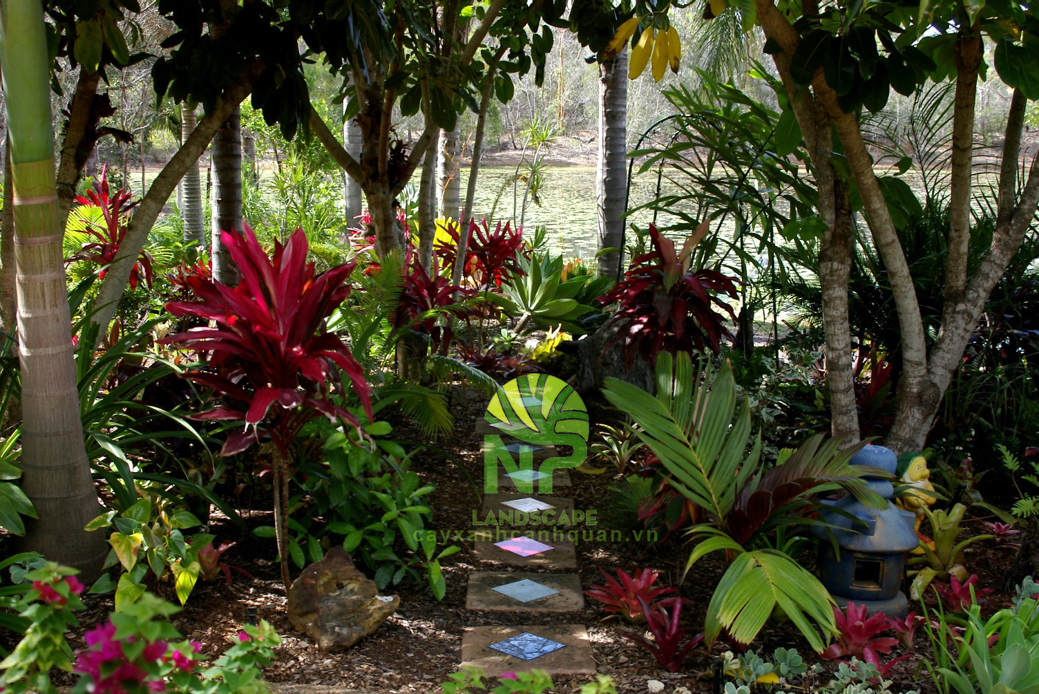 Tropical garden (5)