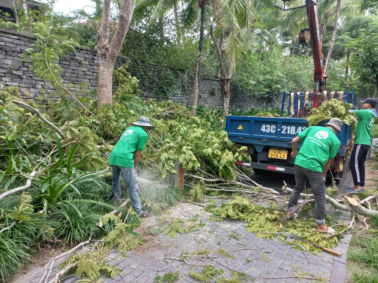quy trình khắc phục và phòng chống cây xanh mùa mưa bão