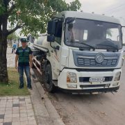 bảo dưỡng cây xanh khu công nghiệp