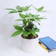 Cách xác định góc tài lộc trong nhà